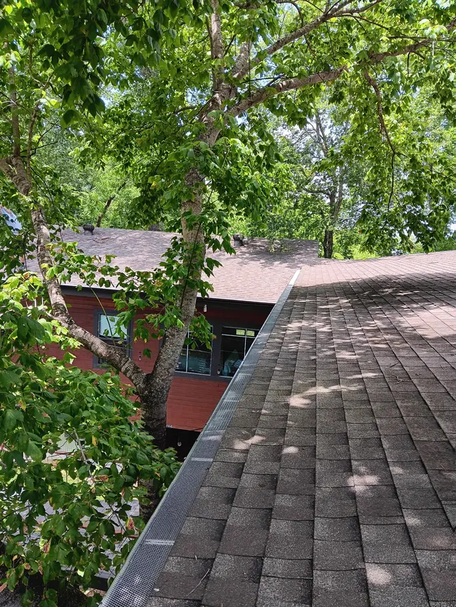 Roof-edge detail beneath nearby tree branches